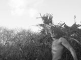 20120513202743-obs1hnjnmn
