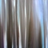 Birch_forest__sketch_