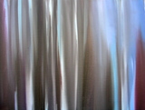 Birch_forest__sketch_