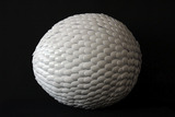 20120809050842-ovus_s_1_