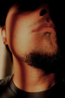 20081128-portrait