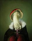 Manfungus_series_1