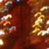 20130312062548-meicon