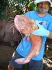 Dsc04598