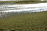 20130207110329-dorit_jordandotan_01