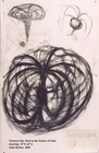 Neutron_drawing