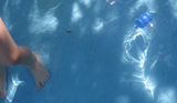 Leginpool
