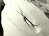 20130510154844-scultura_particolare