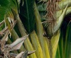 20130520150028-edenroad_1detail