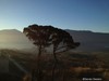 20130519172007-view_from_gardensdsmall