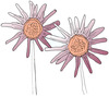 20130615222724-flower4
