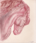 Arboleda_cabollo_432
