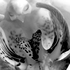 20110223043159-debra_kayata_orchid_up_close_and_personal