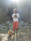 Millard2
