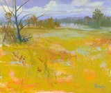 20111102072949-yellowfield9x7_75inlg