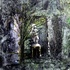 20120817143053-green_goddess