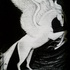 Dsc01097
