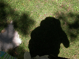 20101123073928-shadow