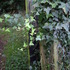 2006-04-26_05-05-34_0106