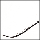 10_haiku_to_blossfeldt