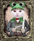 Confederate-frog-cat01