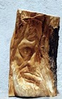 Face1
