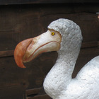 20110330191007-dodo