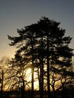 Dscn0772