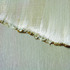 20130518121152-_mg_2938