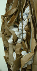 20120803014714-manufacturingplant