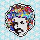 Fro_p1_3x3x72