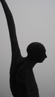 Sara_berti_-_rinascita_-detail