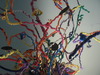 20120225032830-chenille