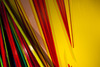 20130105235807-the_detonating_springs_of_the_spurge_38
