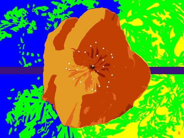 Orange Flower P4131586