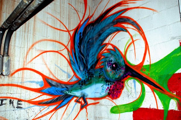 hummingbird graffiti by coreroc