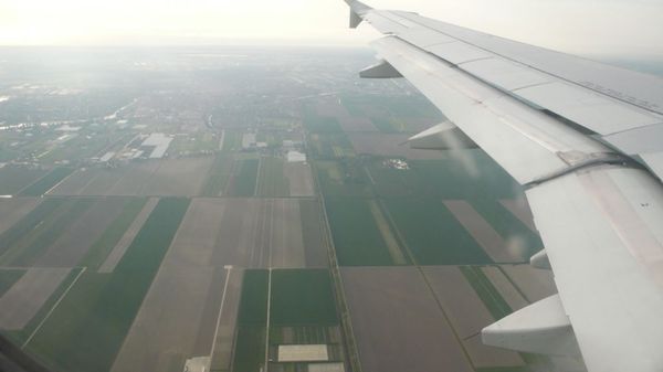 Flying back to the Netherlands.