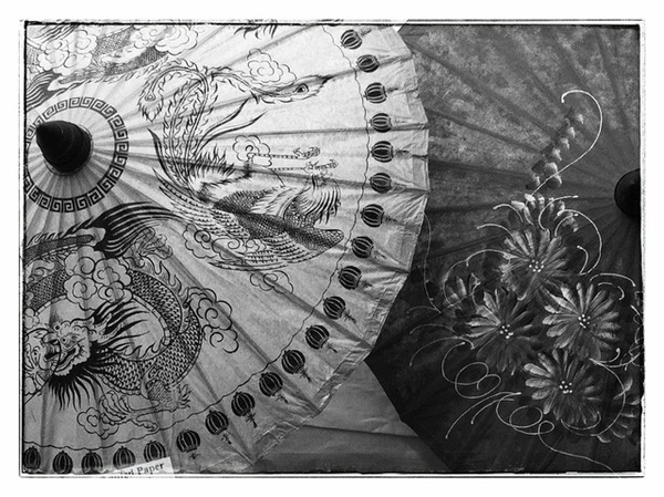 Kim Hirsch "Paper Umbrellas"