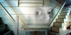 Ghostings1_gallery_0