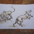 Bogota__cartagena__new_home__art_395