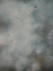 Aurora, NE,Samantha Fields