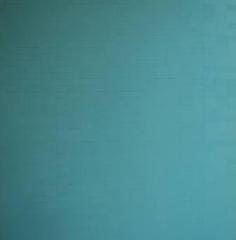 Baby Blue,Steve Schmidt