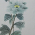 Cimg1319
