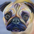 Pugg_sm