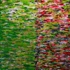 Dsc02802_bearbeitet-1