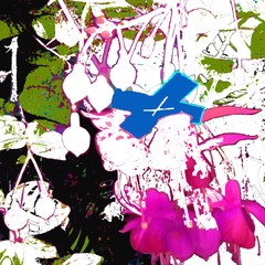 Xplant_052608_small