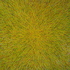 Dsc02956