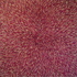 Dsc02958