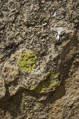 Boulder 1 (detail - Buttermilks, Bishop, CA),Ryan Taber