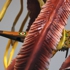 Charpentierdetail
